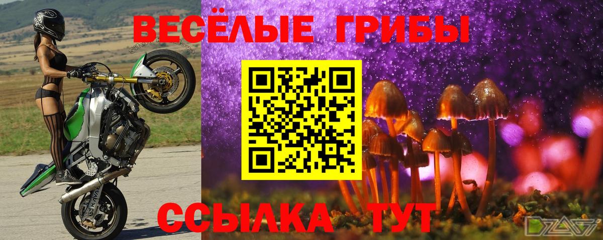 Галлюциногенные грибы ЛСД Ялуторовск